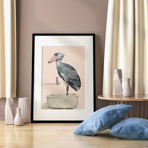 Shoebill Framed Print